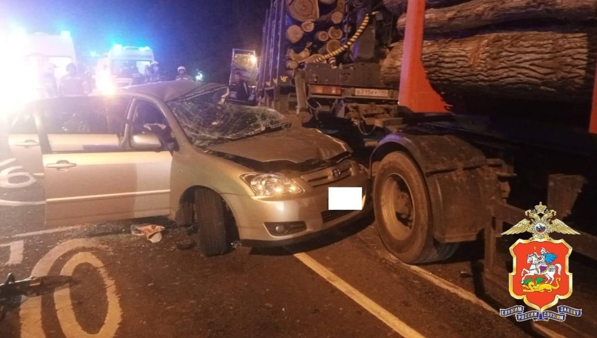 Девочка и женщина погибли в ДТП с лесовозом в Подмосковье