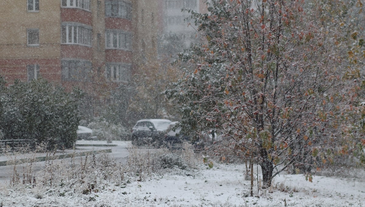 Ко Дню народного единства в Подмосковье могут сформироваться сугробы такой высоты