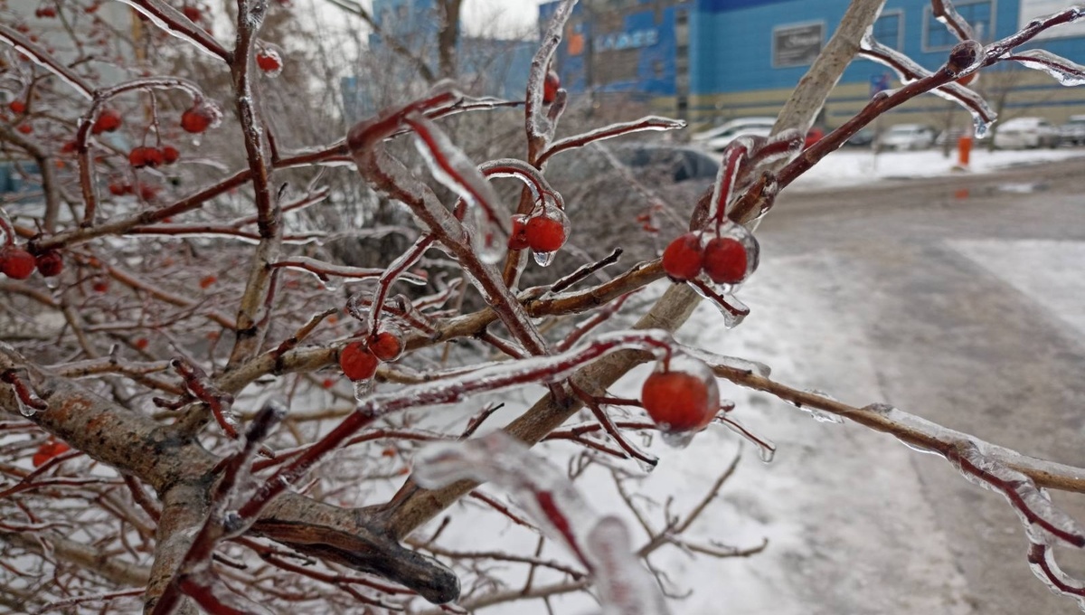 Ледяной дождь в Подмосковье  ожидается в этот день и час