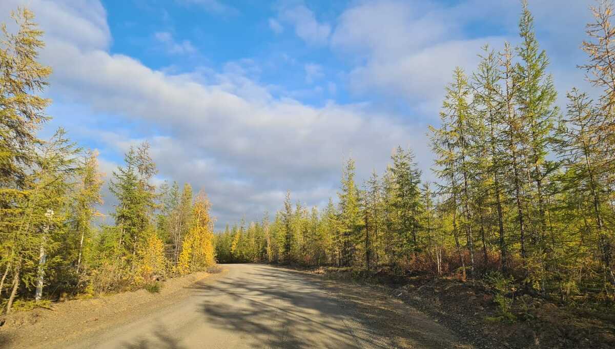 Ореховый спас 29 августа расскажет, какой будет осень