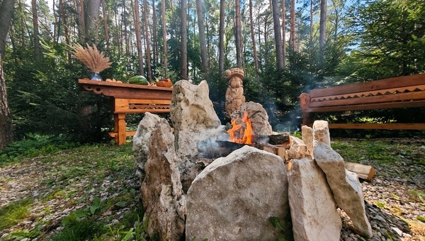 Волшебная поляна в лесу под Серпуховом признана лучшей в области