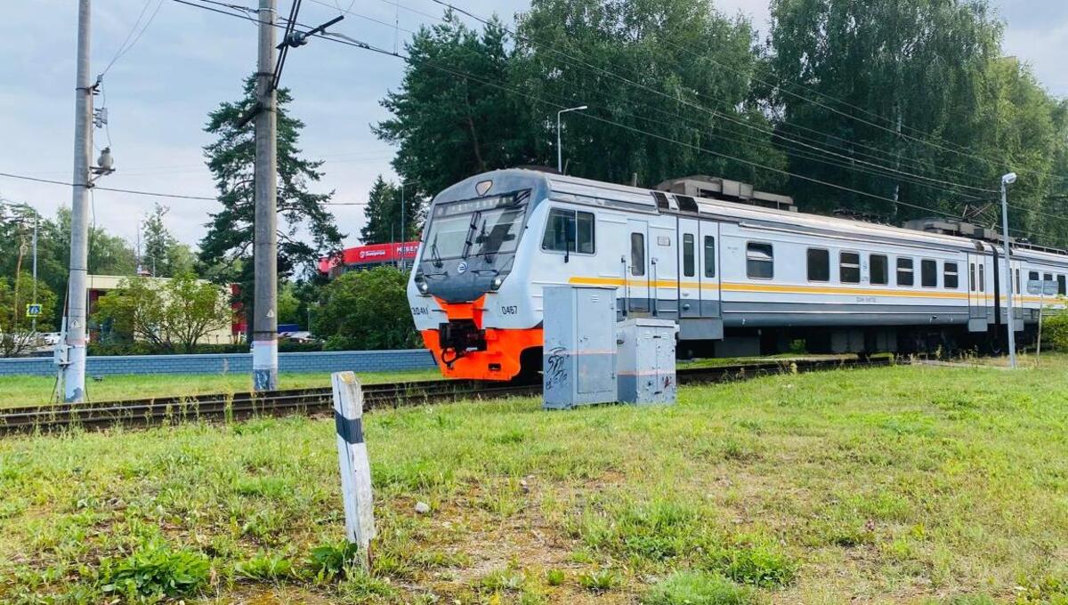 Женщина и ребёнок попали под электричку в Подмосковье