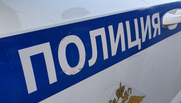 Двоих сутенёров задержала полиция в Подмосковье