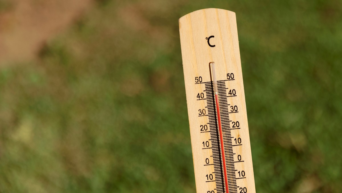 Аномальная жара ожидается в этот день на следующей неделе в Подмосковье