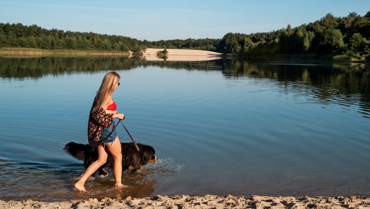 В этом популярном у москвичей озере теперь запрещено купаться