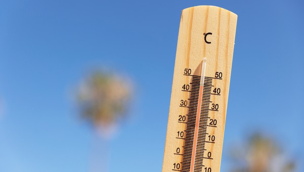 Лето-2024 – самое жаркое в истории? Синоптик Позднякова рассказала, стоит ли ждать аномалий
