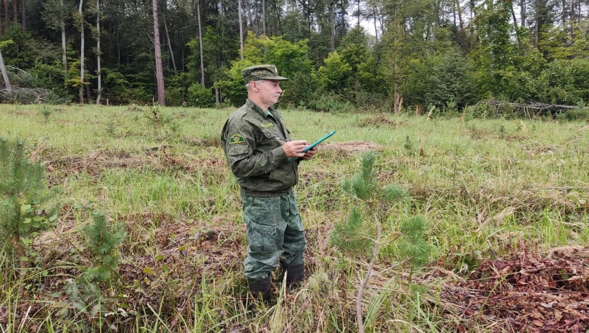 Жители Подмосковья стали массово получать штрафы по 50 000 рублей