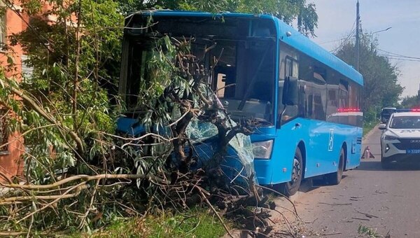 В Серпухове рейсовый автобус в разгар дня въехал в дерево