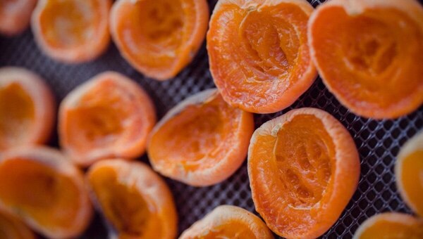Как посушить абрикосы в домашних условиях без специальной сушилки