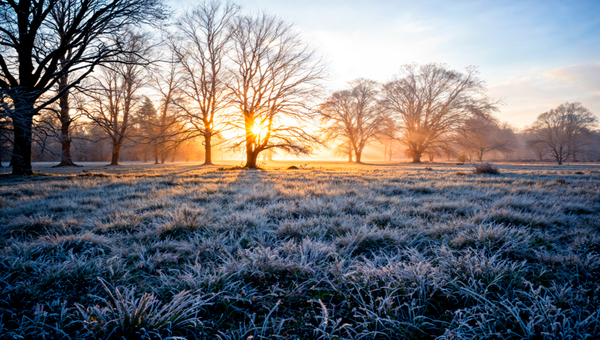 Синоптик пообещал американские горки в Подмосковье