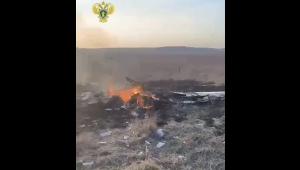 В Подмосковье упал и сгорел самолёт