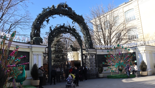 Молодой гость из Сибири в Московском зоопарке обрёл счастье с опытной москвичкой