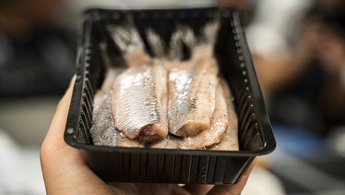 Цена на эту востребованную у россиян рыбу подскочила на треть