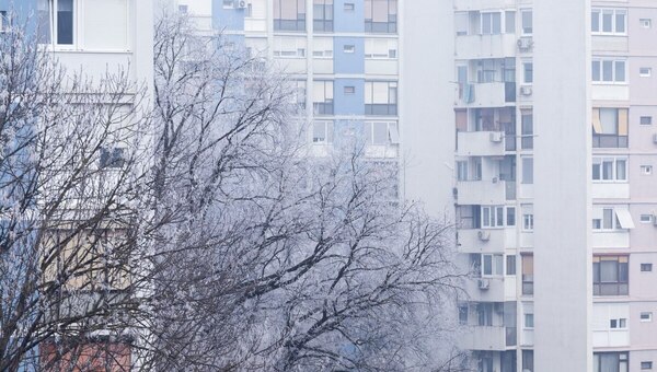 Наступит ли в Подмосковье зима в феврале? Учёные дали ответ